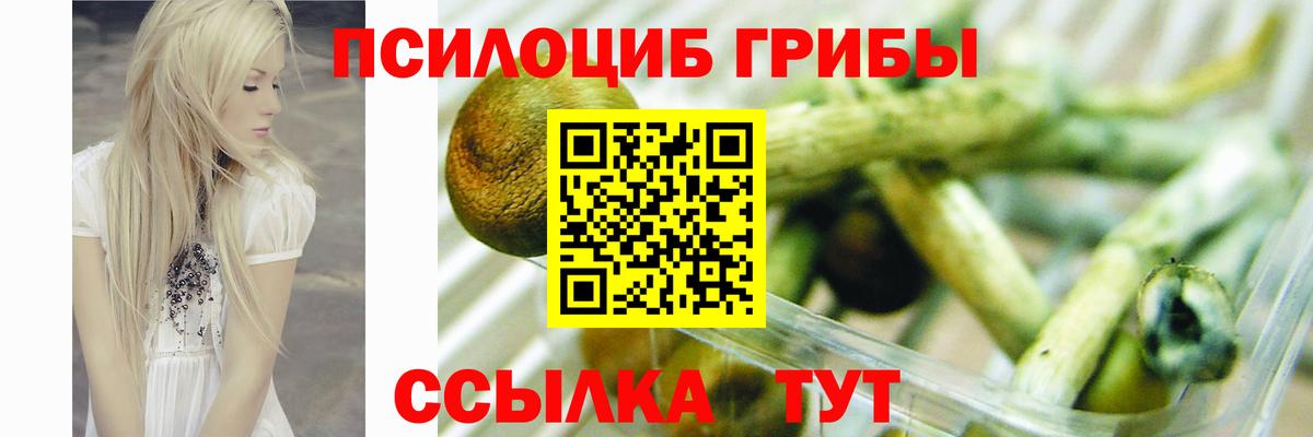 Галлюциногенные грибы прущие грибы  Вход с VPN  Тула 
